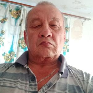 Анатолий, 66 лет, Тула