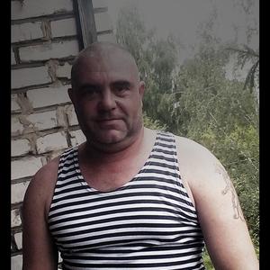 Николай Шитов, 46 лет, Щекино