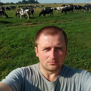 Парни в Витебске (Беларусь): Михаил, 32 - ищет девушку из Витебска (Беларусь)