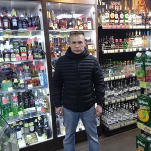 Алексей, 53 года, Фрязино