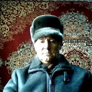 Aleksandr Omyshev, 74 года, Белогорск