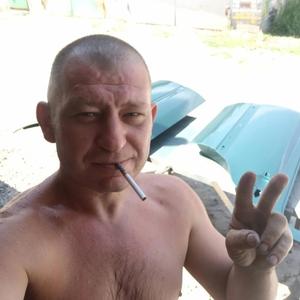 Дмитрий, 45 лет, Кузнечное