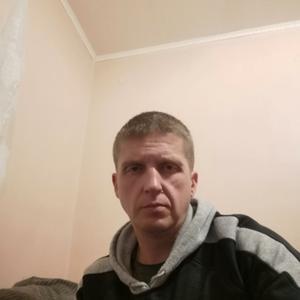 Юрий, 45 лет, Пошехонье