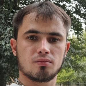 Рафаэль, 34 года, Ташкент