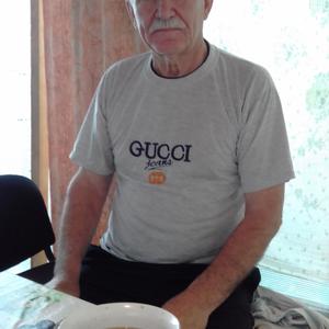 Михаил, 64 года, Воронеж