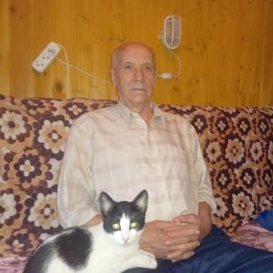 Владимир Инякин, 75 лет, Павловский Посад