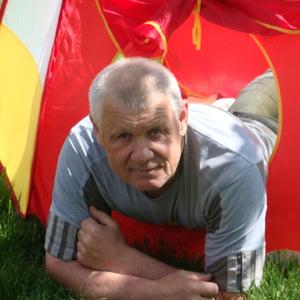 Владимир, 69 лет, Краснодар