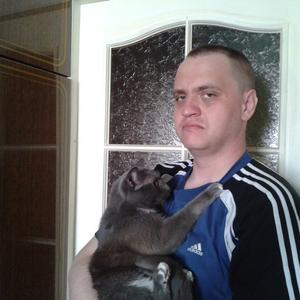 Сергей, 41 год, Златоуст