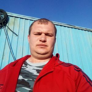 Александр, 39 лет, Вологда