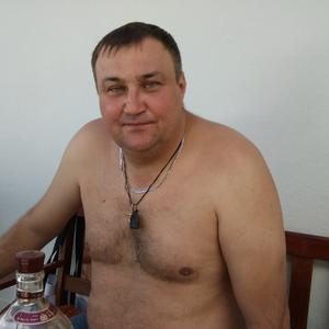 Алексанлр, 54 года, Электросталь
