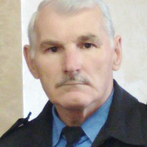 Игорь, 66 лет, Воронеж