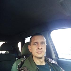 Дмитрий Пантелеев, 40 лет, Барнаул