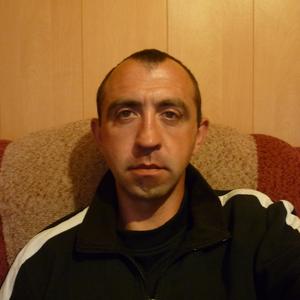 Максим, 43 года, Армавир