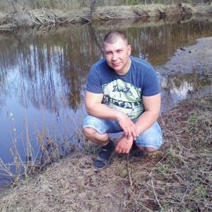Денис Новожилов, 43 года, Богородск