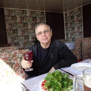 Володя Алексеев, 68 лет, Саратов