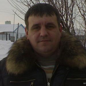 Владимир Романов, 47 лет, Новоузенск