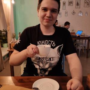 Дмитрий Прокин, 27 лет, Саранск
