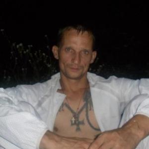 Александр Антоненко, 41 год, Кривой Рог