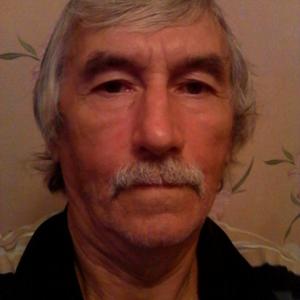 Виктор, 66 лет, Брянск