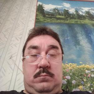 Альмир, 54 года, Нижнекамск