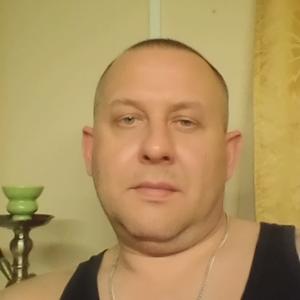 Владимир, 44 года, Ульяновск
