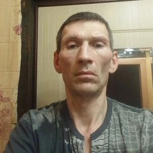 Михаил, 47 лет, Ковров
