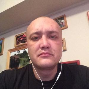 Алексей, 41 год, Нижний Тагил