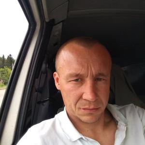 Роман, 43 года, Киров
