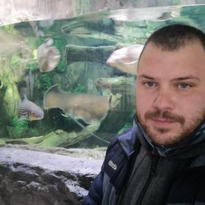 Парни в Липецке: Александр Кочкин, 34 - ищет девушку из Липецка