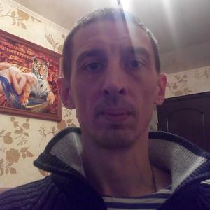 Игорь, 42 года, Могилев