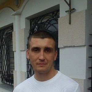 Александр Степанов, 44 года, Коломна