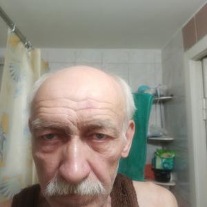 Владимир, 65 лет, Димитровград