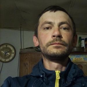 Роман, 41 год, Омск