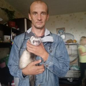 Парни в Кинешме: Андрей, 41 - ищет девушку из Кинешмы