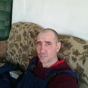 Максим, 41 год, Сковородино