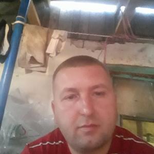 Юрий, 43 года, Тольятти