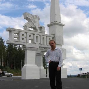 Андрей Лебедев, 57 лет, Челябинск