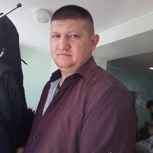 Дмитрий, 48 лет, Апатиты