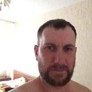 Виталик, 41 год, Ярославль