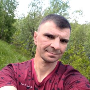 Андрей, 46 лет, Мегион