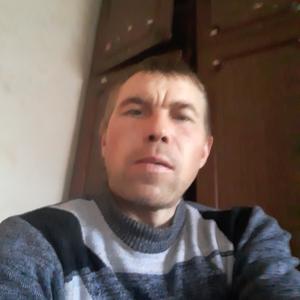 Денис, 41 год, Туринск