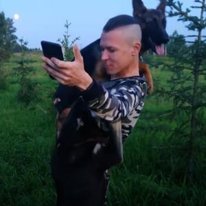 Парни в Северске: Дмитрий, 42 - ищет девушку из Северска