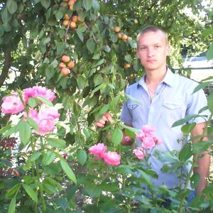 Сергей, 34 года, Льгов