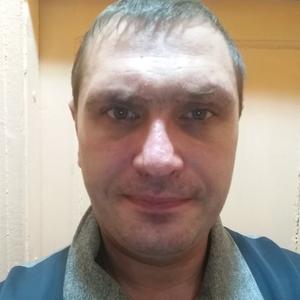 Михаил Пантелеев, 36 лет, Нижний Тагил