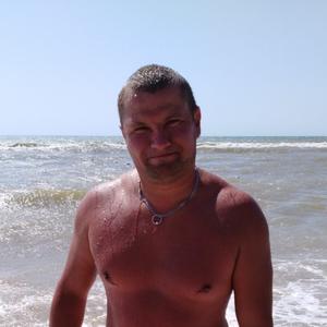 Александр Иванов, 39 лет, Гомель