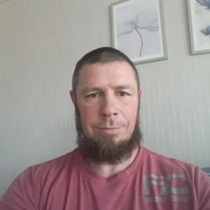 Дима, 47 лет, Сокол