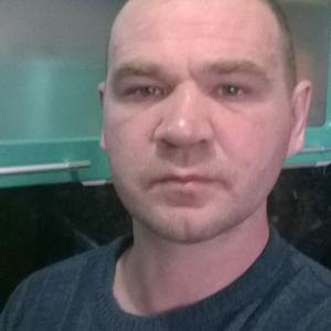Дмитрий Стахеев, 45 лет, Норильск
