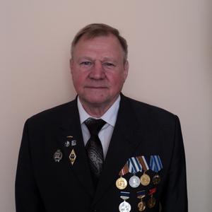 Владимир, 71 год, Ярославль