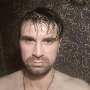 Игорь Стороженко, 41 год, Мурино