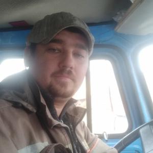 Сергей Петров, 39 лет, Омск